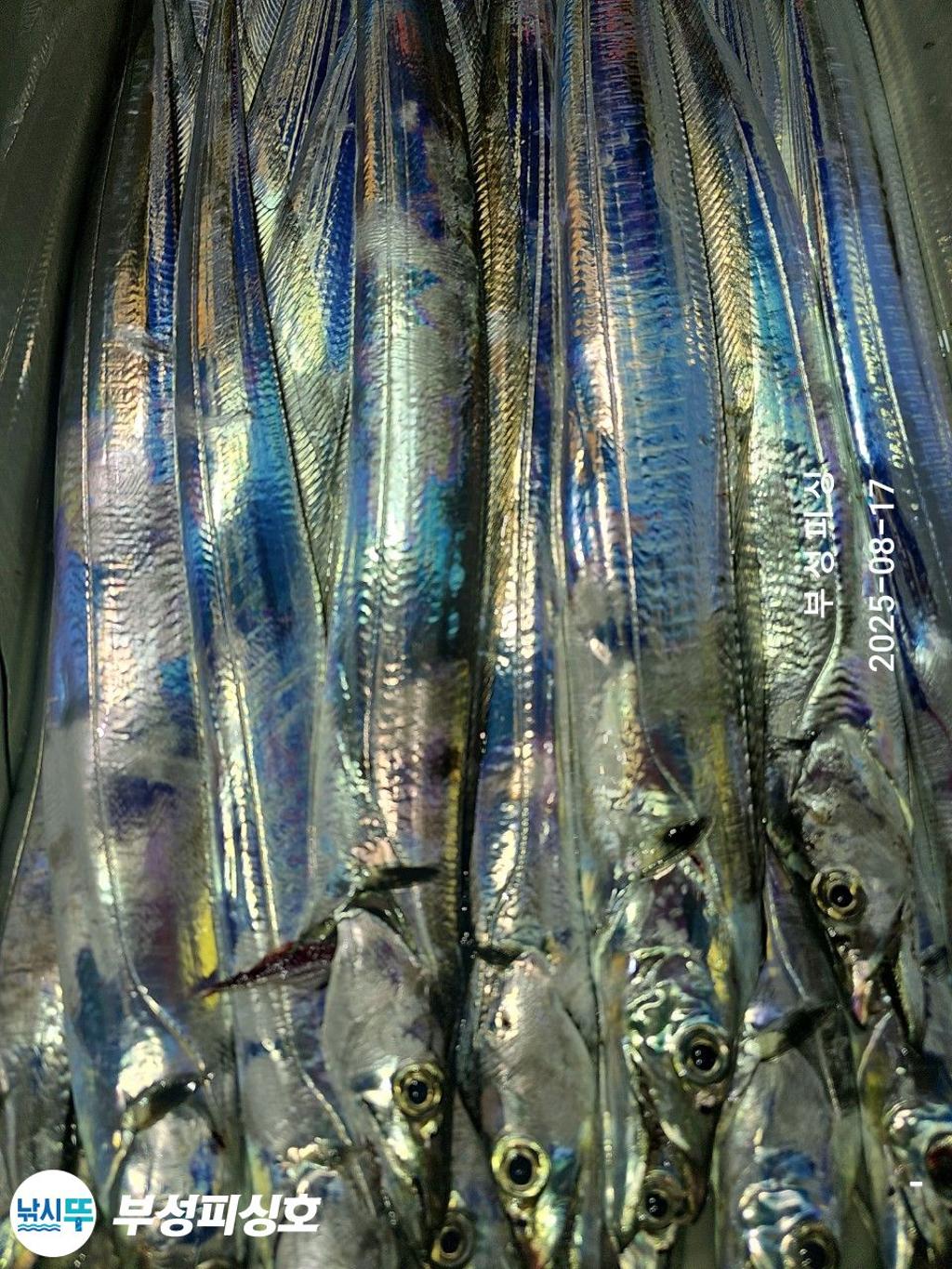 F2750854EX.jpg