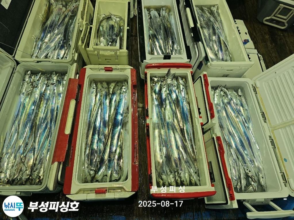 F2750857YW.jpg