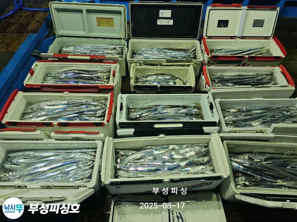 F27508598T.jpg