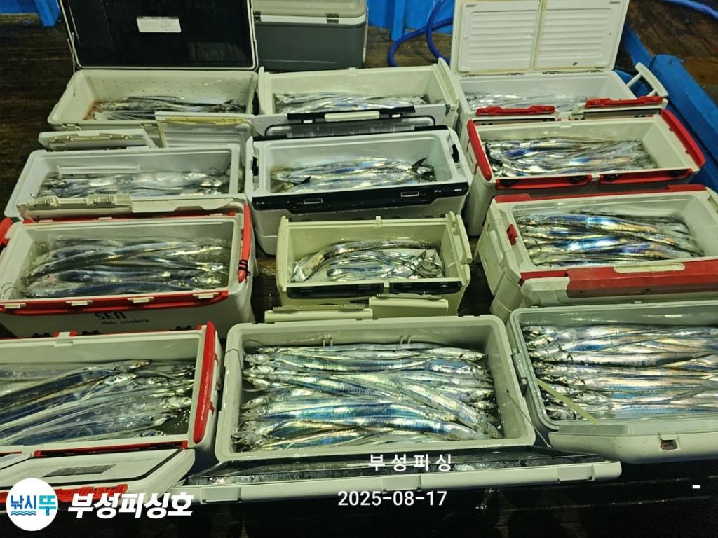 F2750860KO.jpg