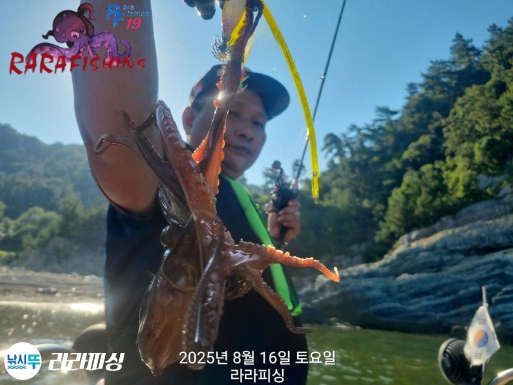 낚시뚜,돌문어,속천항(진해),라라피싱,낚시뚜10