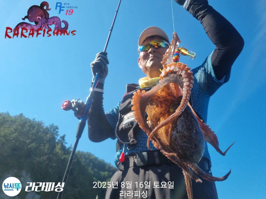 낚시뚜,돌문어,속천항(진해),라라피싱,낚시뚜9