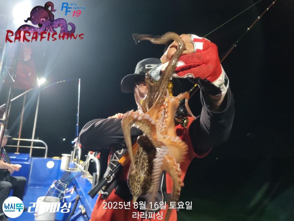 낚시뚜,돌문어,속천항(진해),라라피싱,낚시뚜5