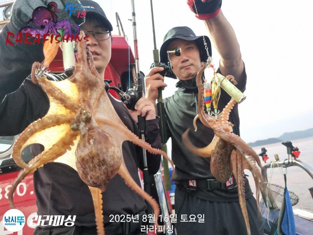 낚시뚜,돌문어,속천항(진해),라라피싱,낚시뚜3