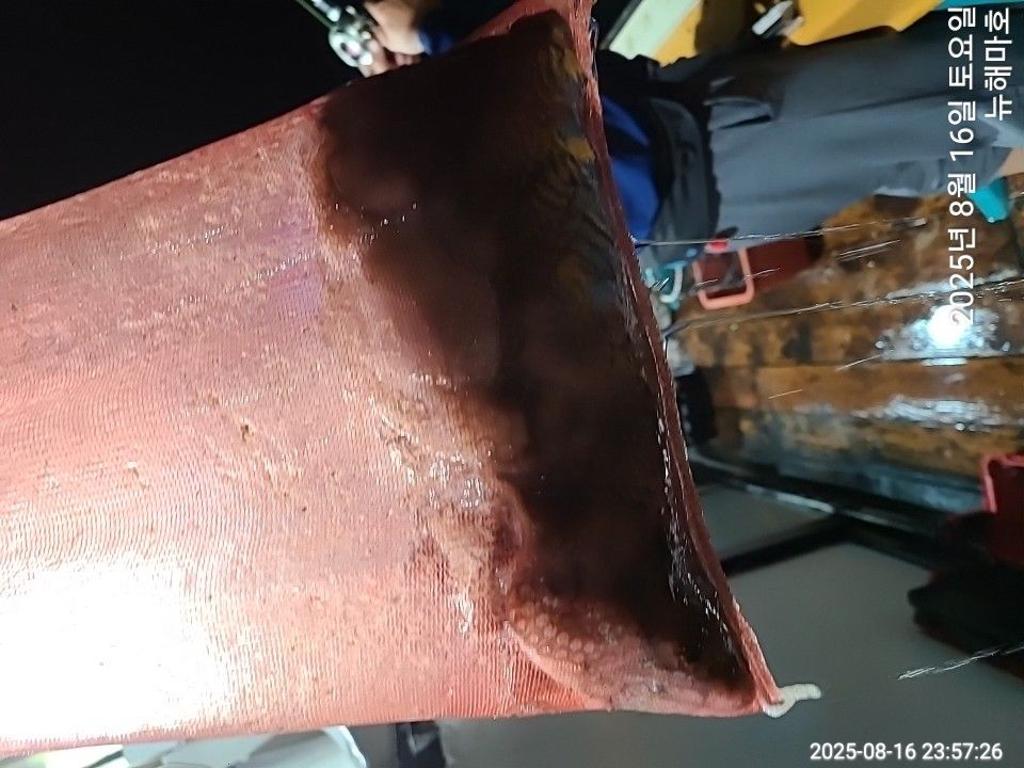 F2751279TO.jpg