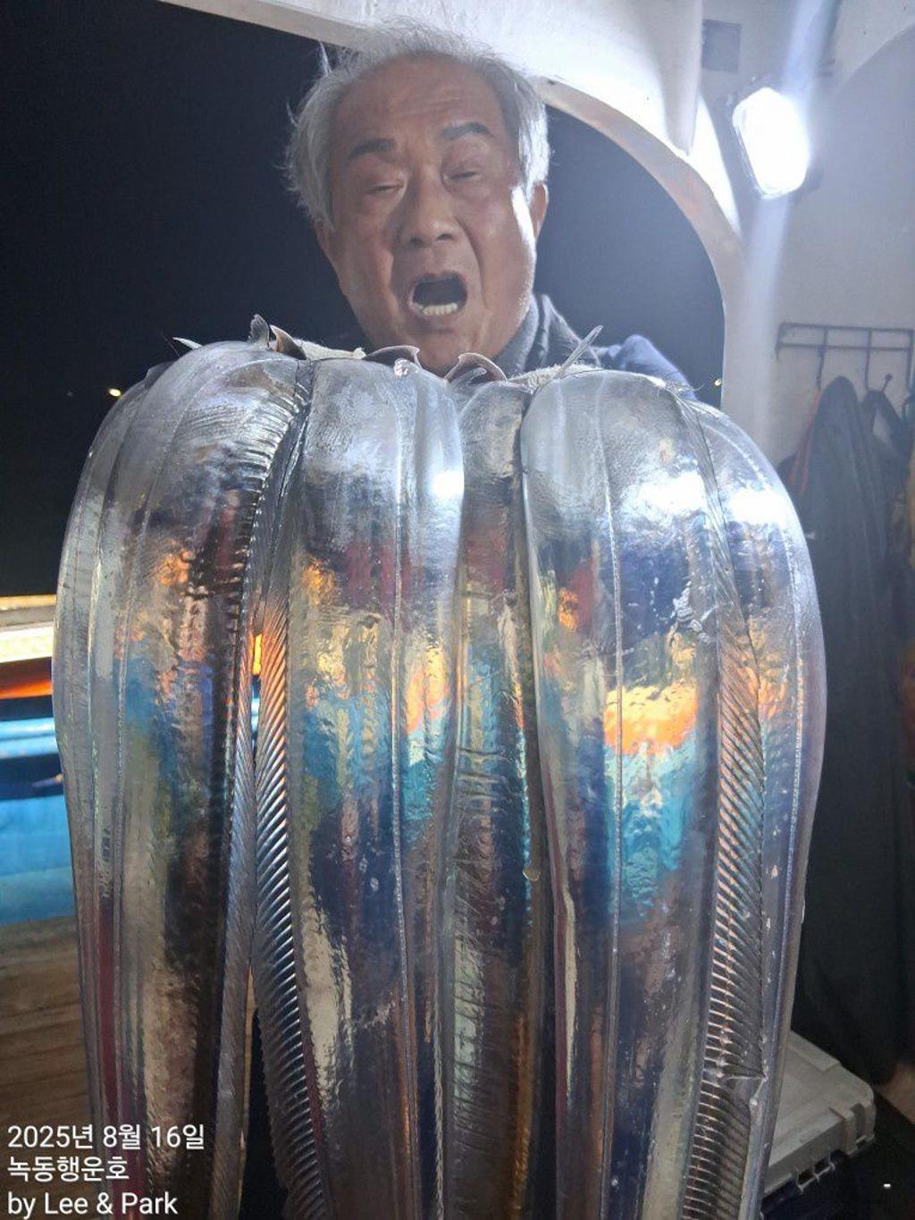 낚시뚜,갈치,녹동항,녹동대성호,낚시뚜34