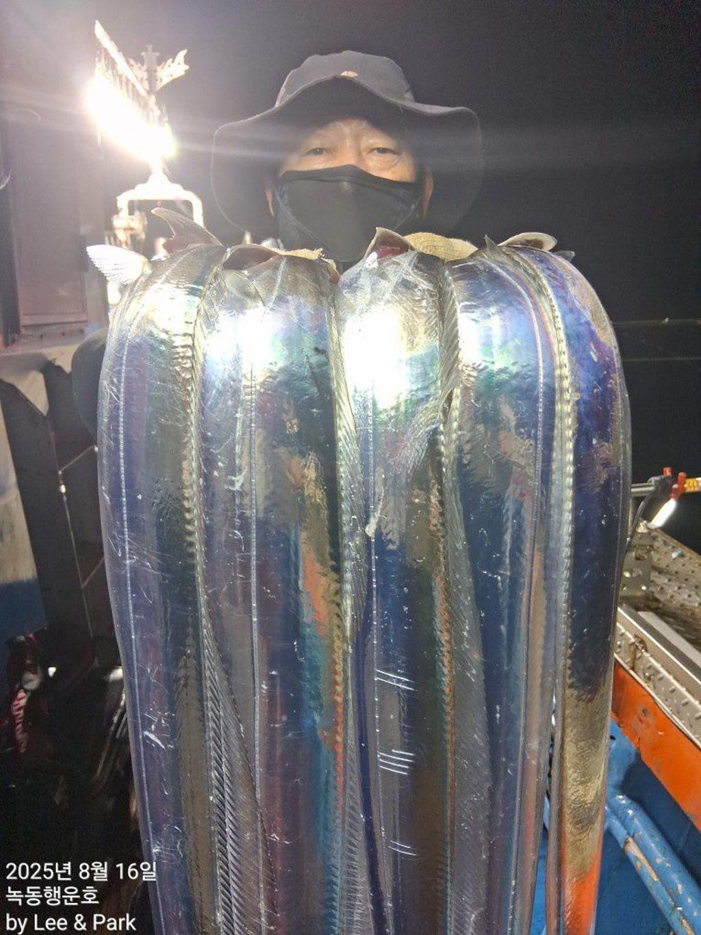 낚시뚜,갈치,녹동항,녹동대성호,낚시뚜20