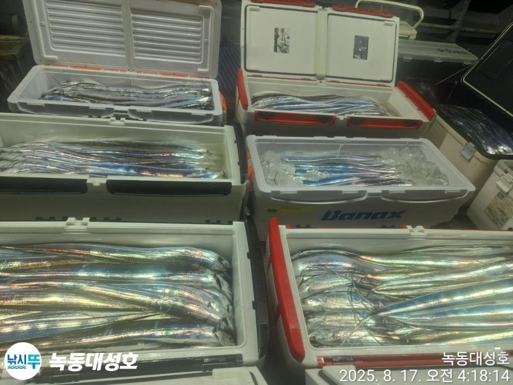 낚시뚜,갈치,녹동항,녹동대성호,낚시뚜9