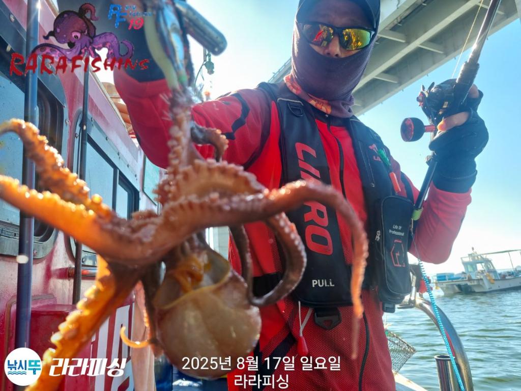 낚시뚜,돌문어,속천항(진해),라라피싱,낚시뚜13