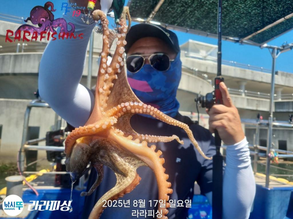 낚시뚜,돌문어,속천항(진해),라라피싱,낚시뚜11