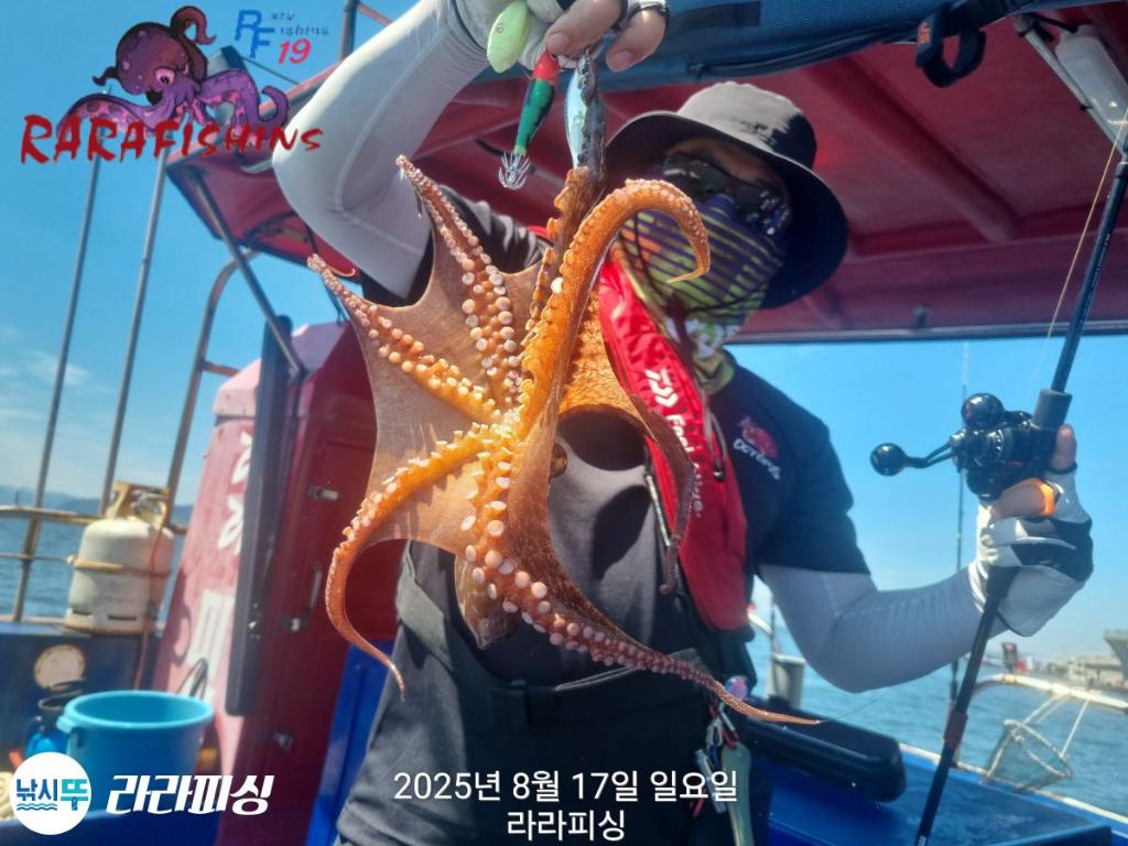 낚시뚜,돌문어,속천항(진해),라라피싱,낚시뚜10