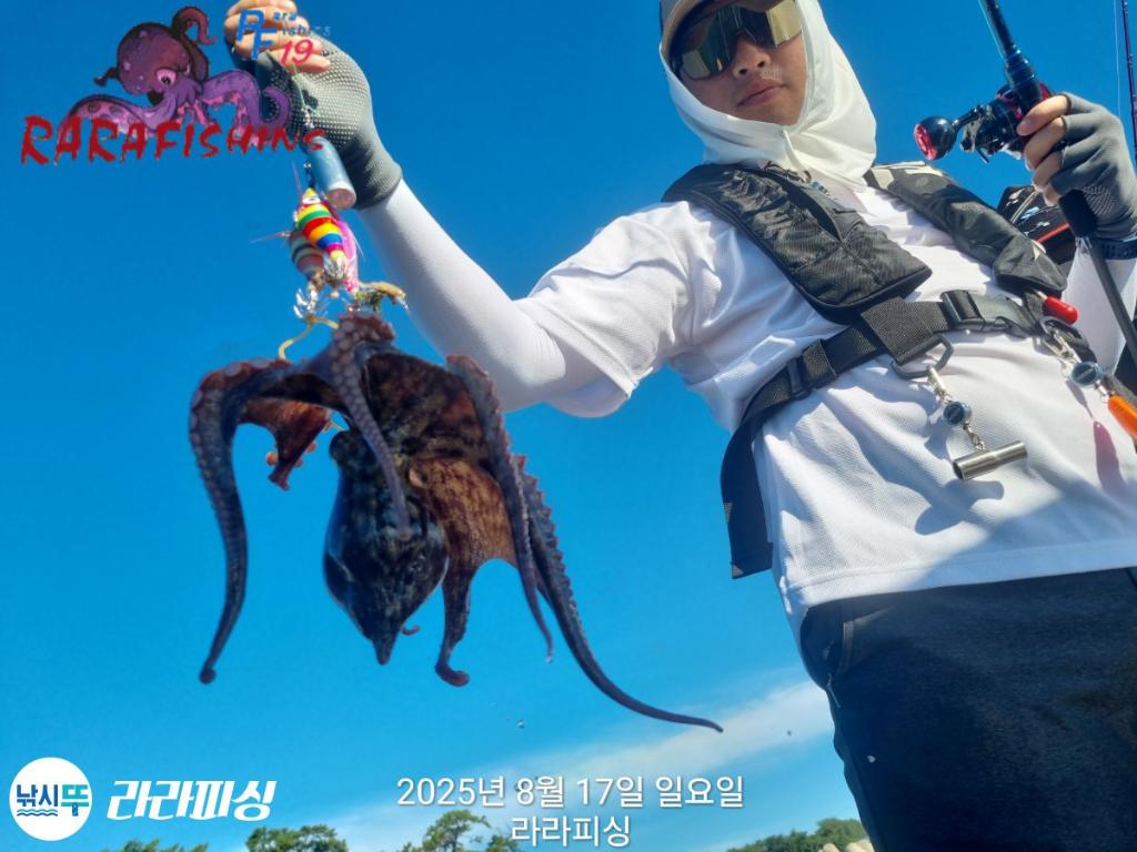 낚시뚜,돌문어,속천항(진해),라라피싱,낚시뚜8