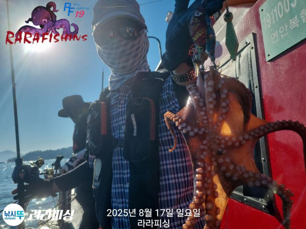 낚시뚜,돌문어,속천항(진해),라라피싱,낚시뚜7