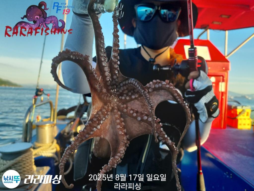 낚시뚜,돌문어,속천항(진해),라라피싱,낚시뚜6