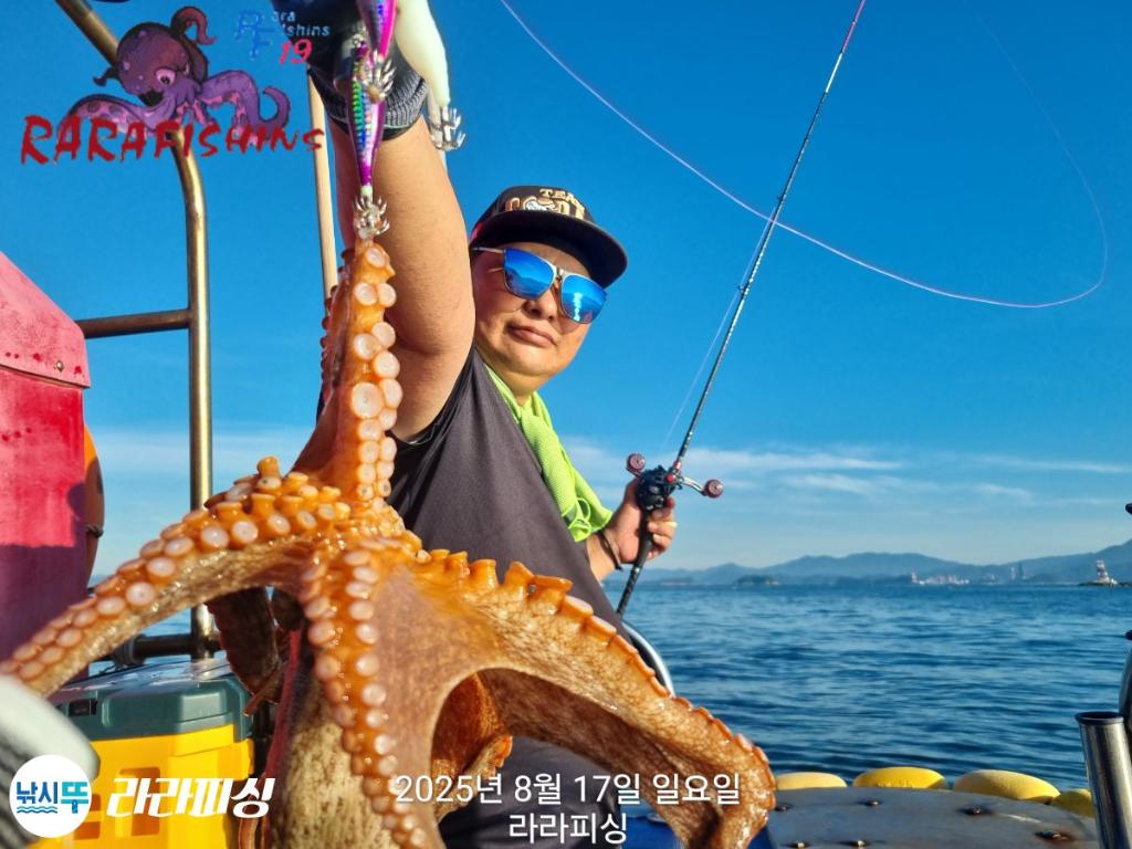 낚시뚜,돌문어,속천항(진해),라라피싱,낚시뚜2