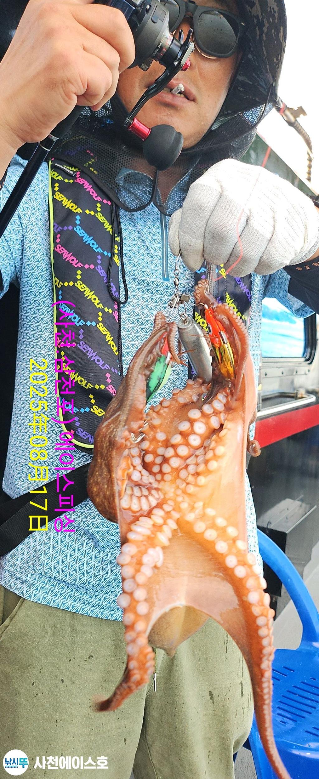 낚시뚜,돌문어,삼천포 팔포항,사천에이스호,낚시뚜3