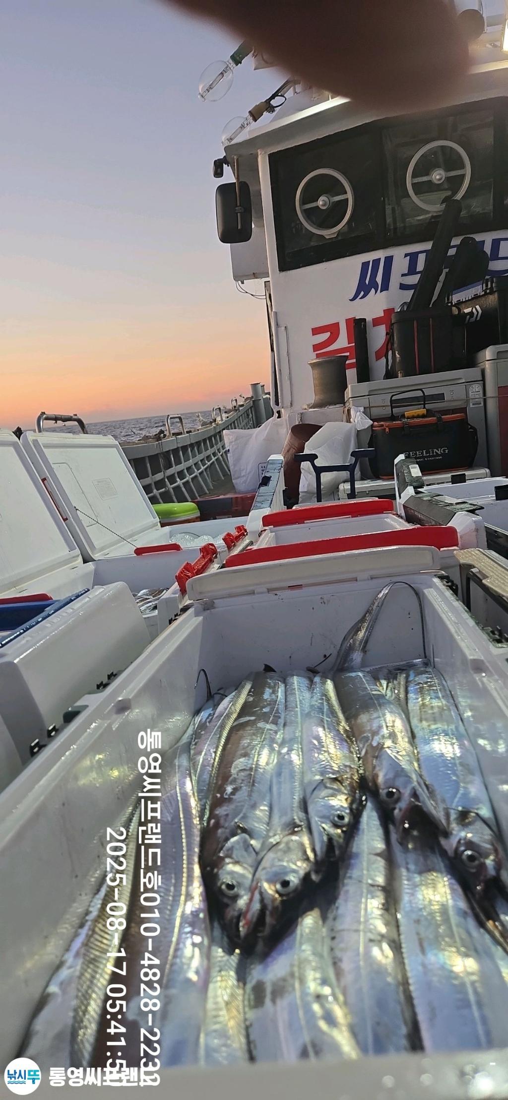 F2751520FG.jpg