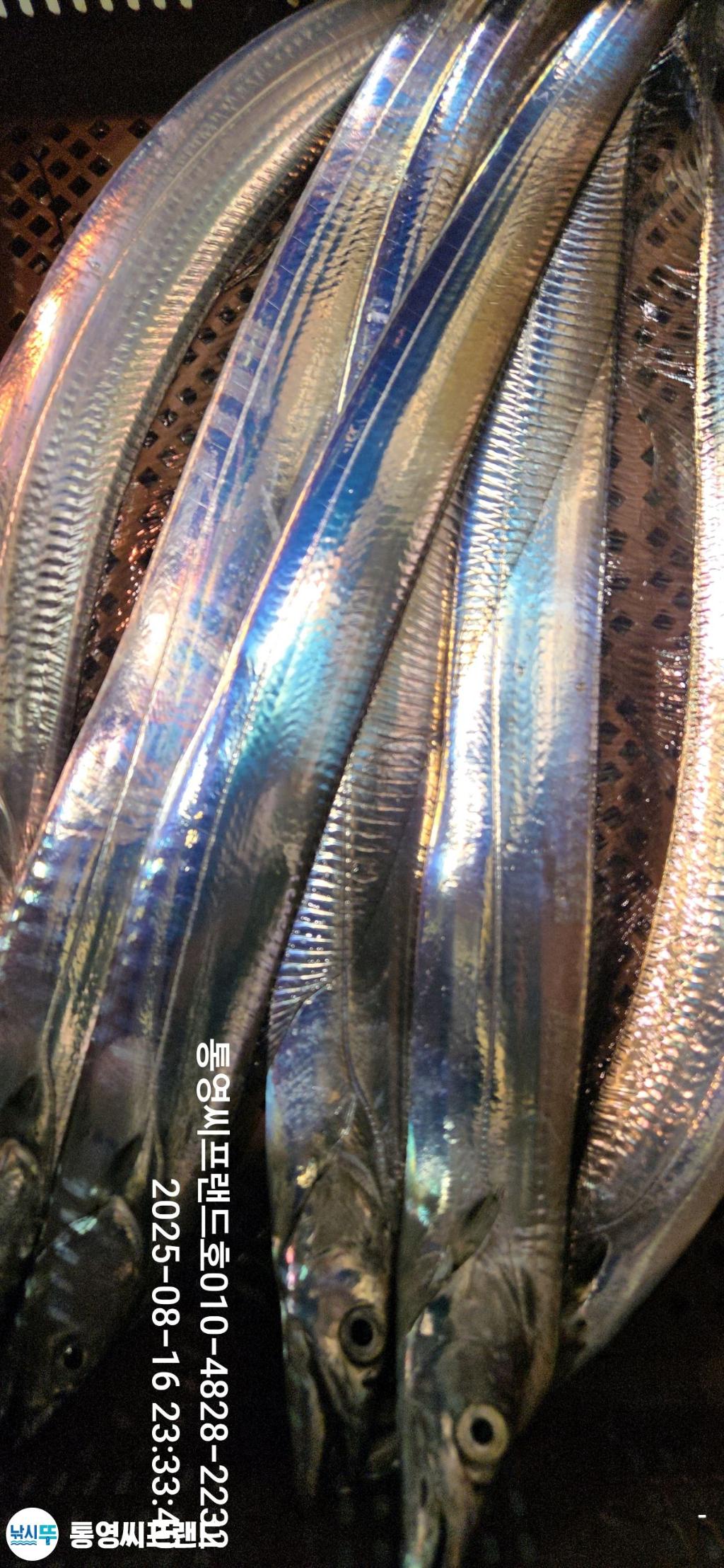 F27515264P.jpg