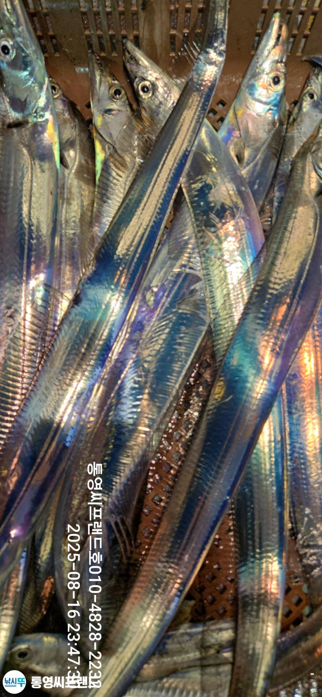 F2751528P8.jpg