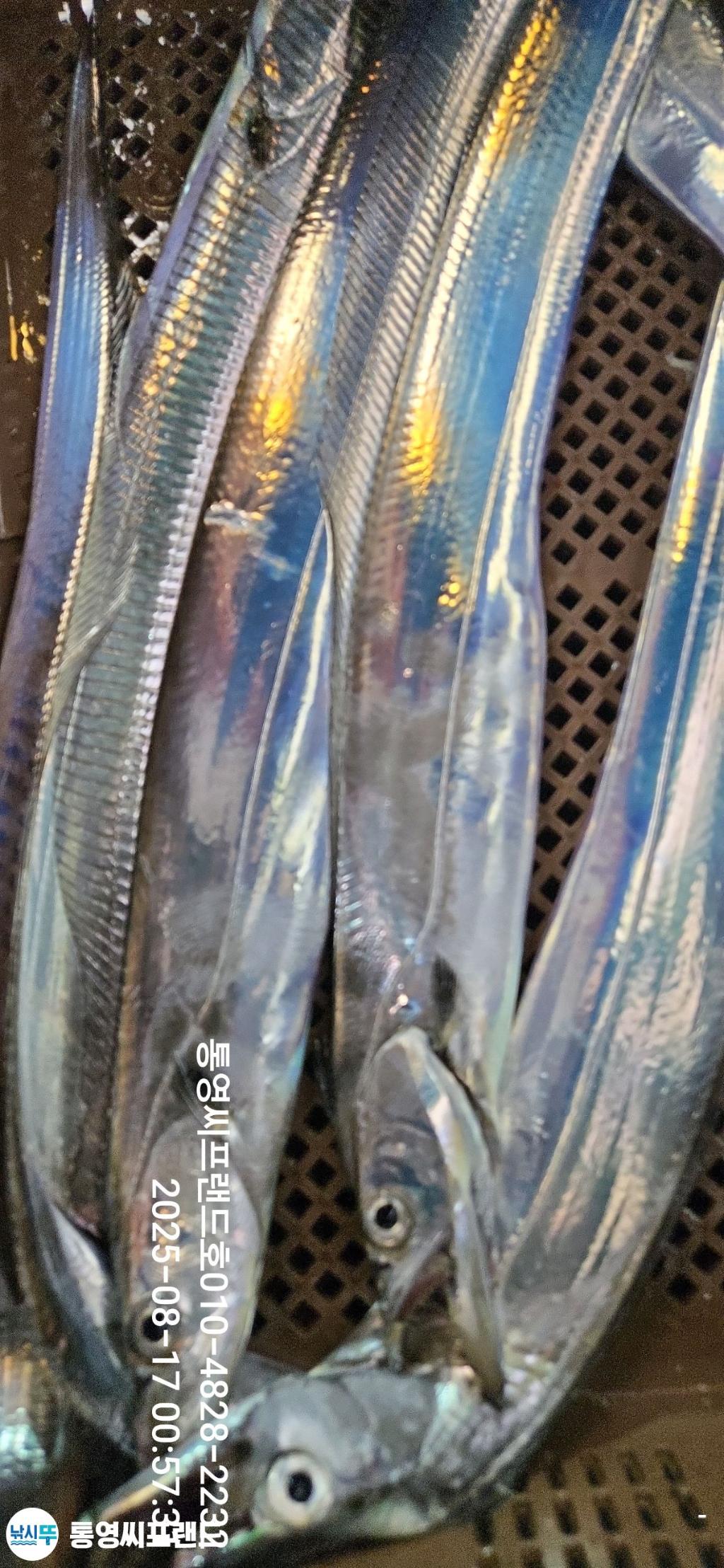F2751529X2.jpg