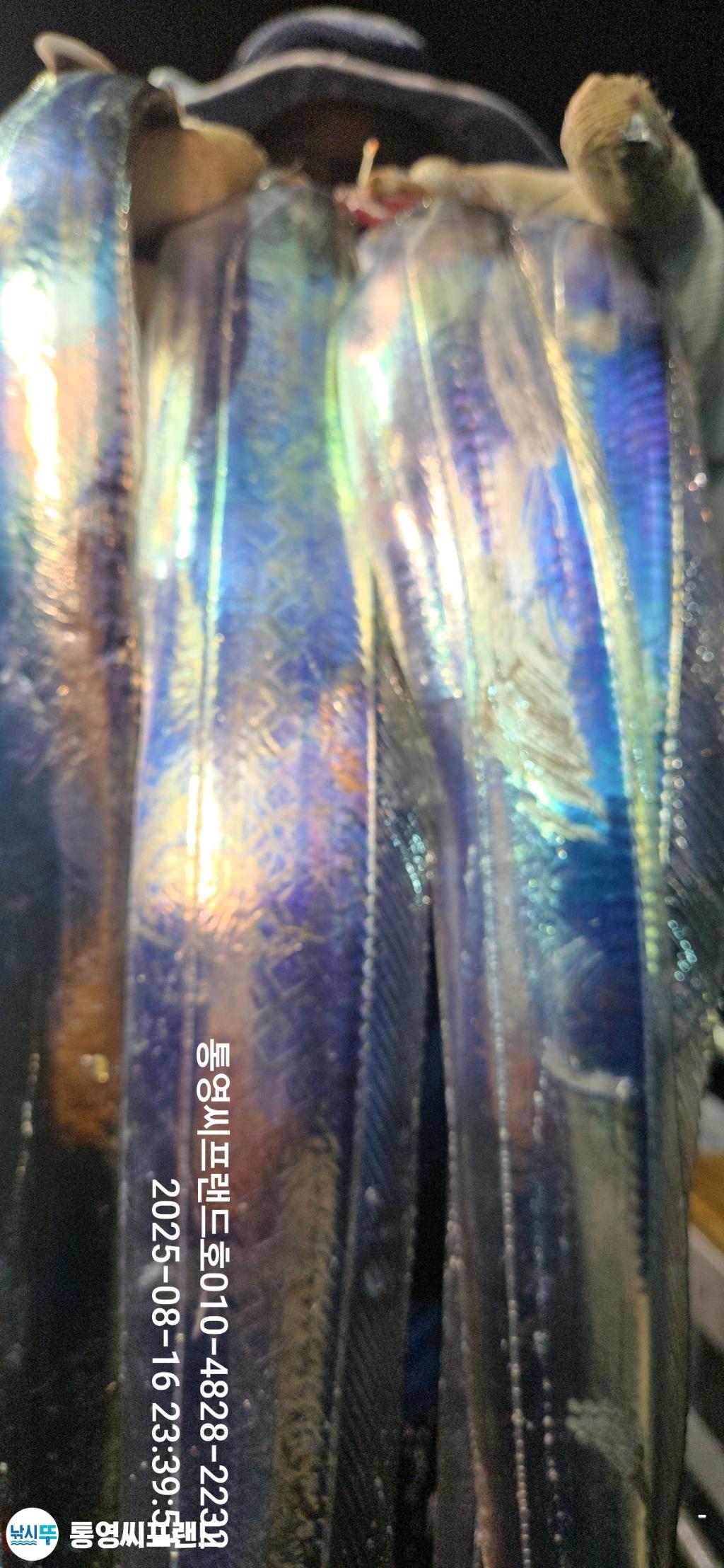 F2751531JP.jpg