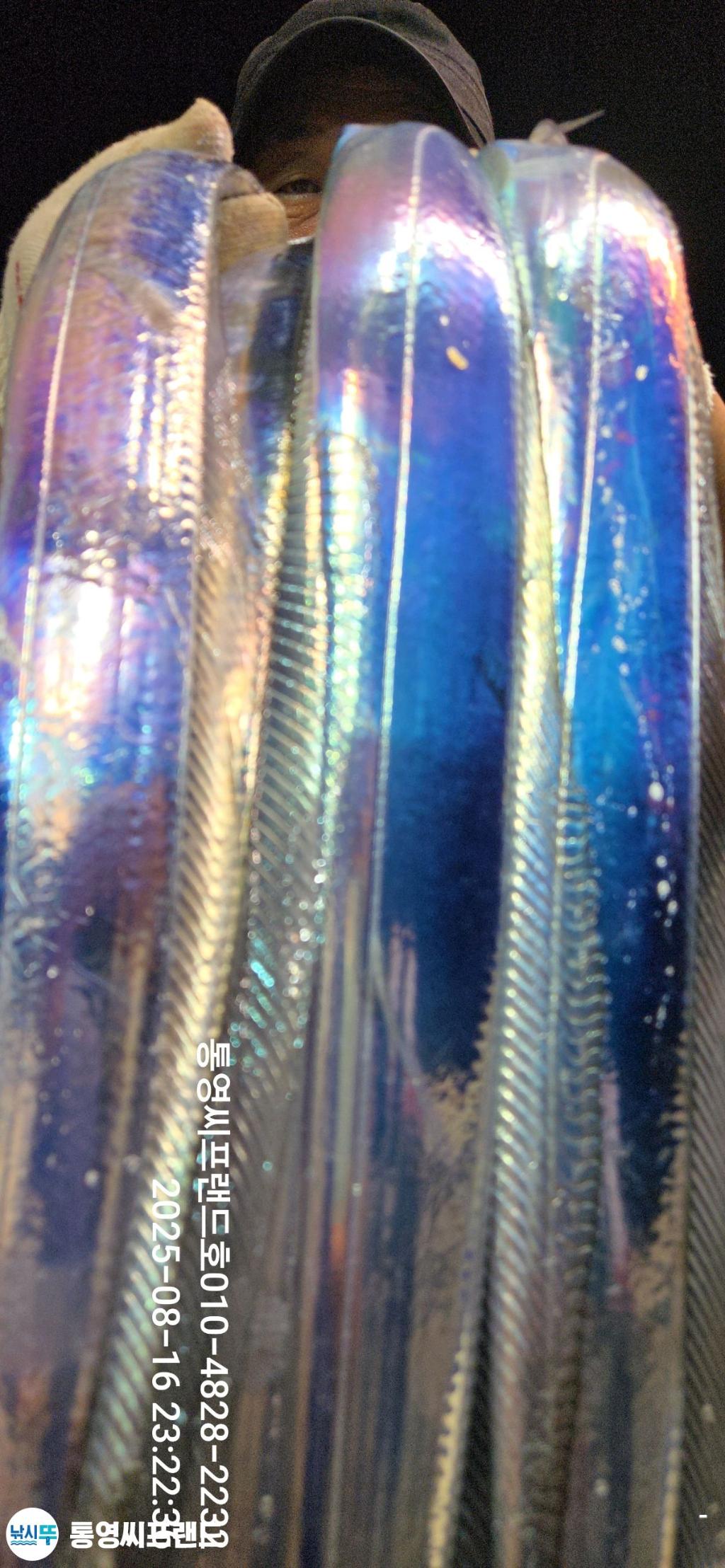 F275153346.jpg