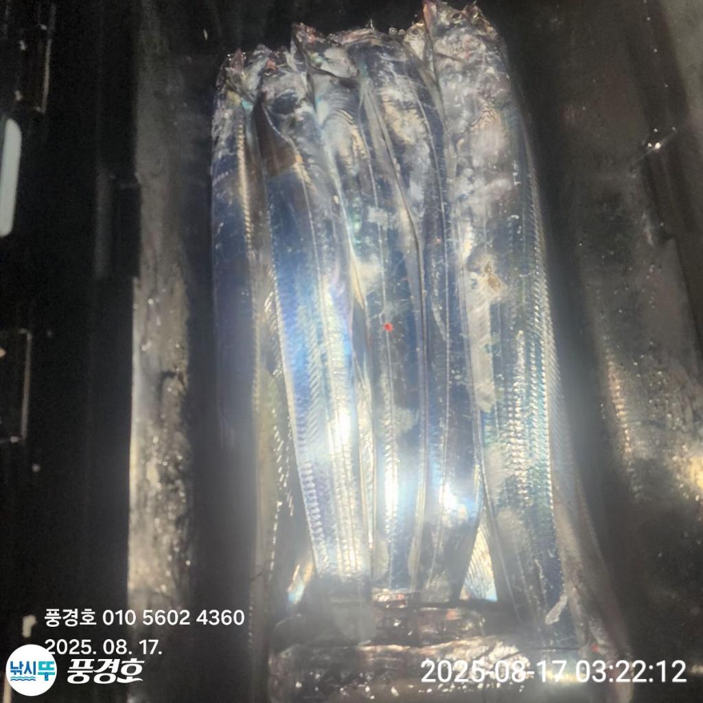 F2750634WP.jpg