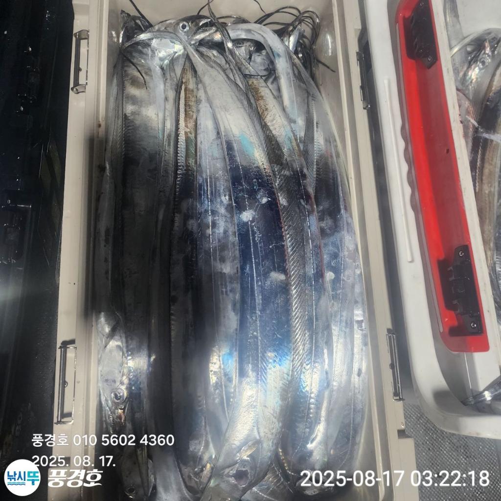 F2750635WI.jpg