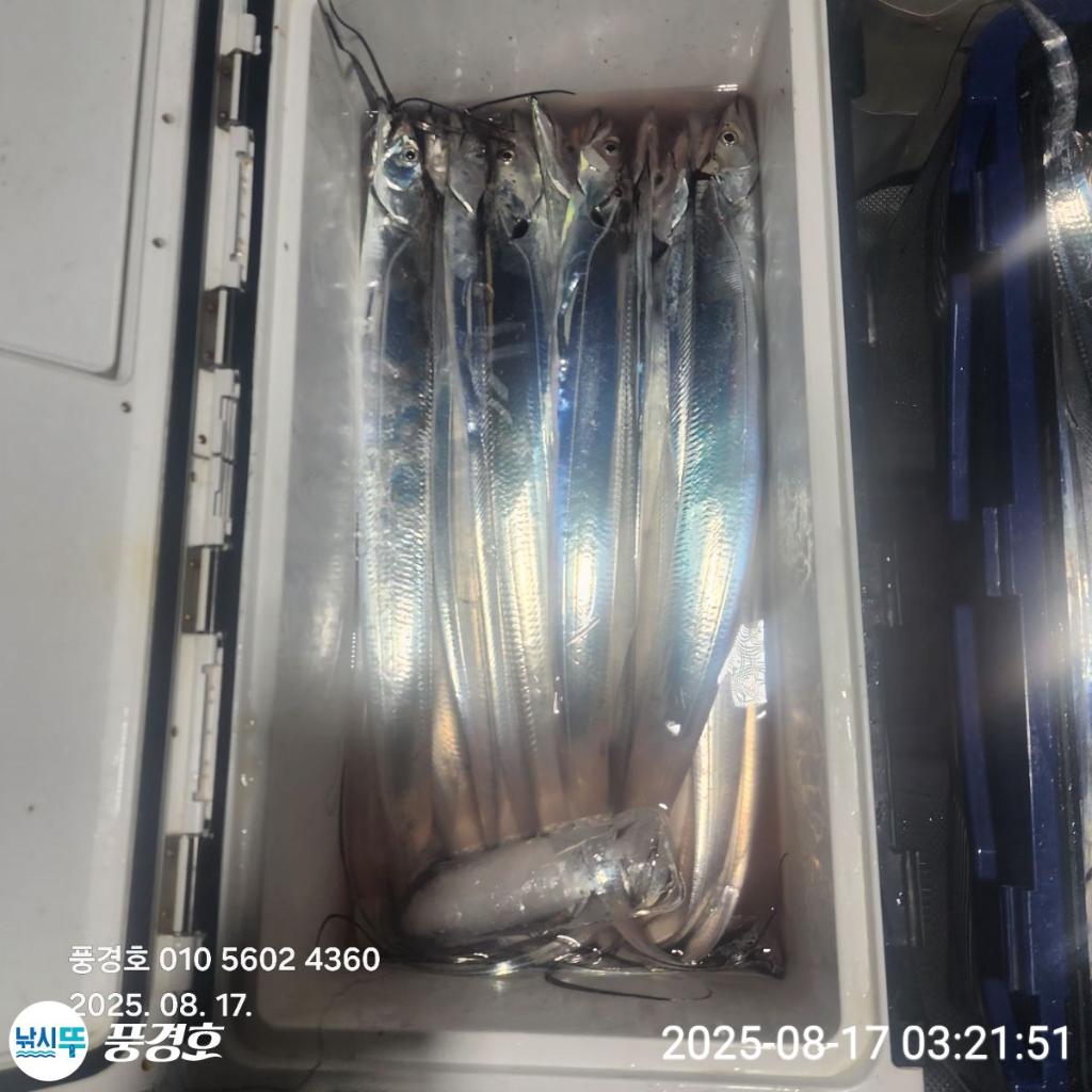 F2750636R4.jpg
