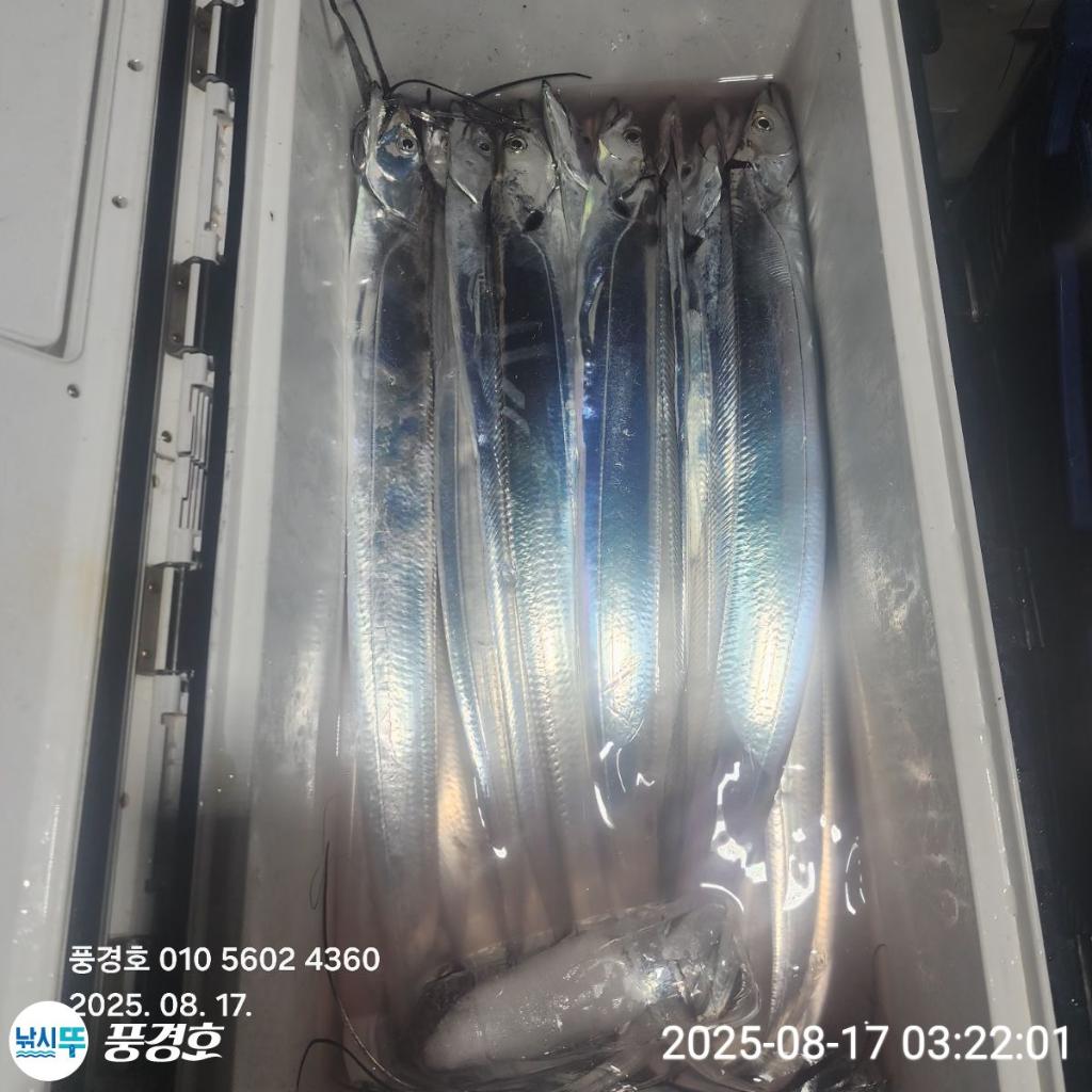 F2750637NW.jpg