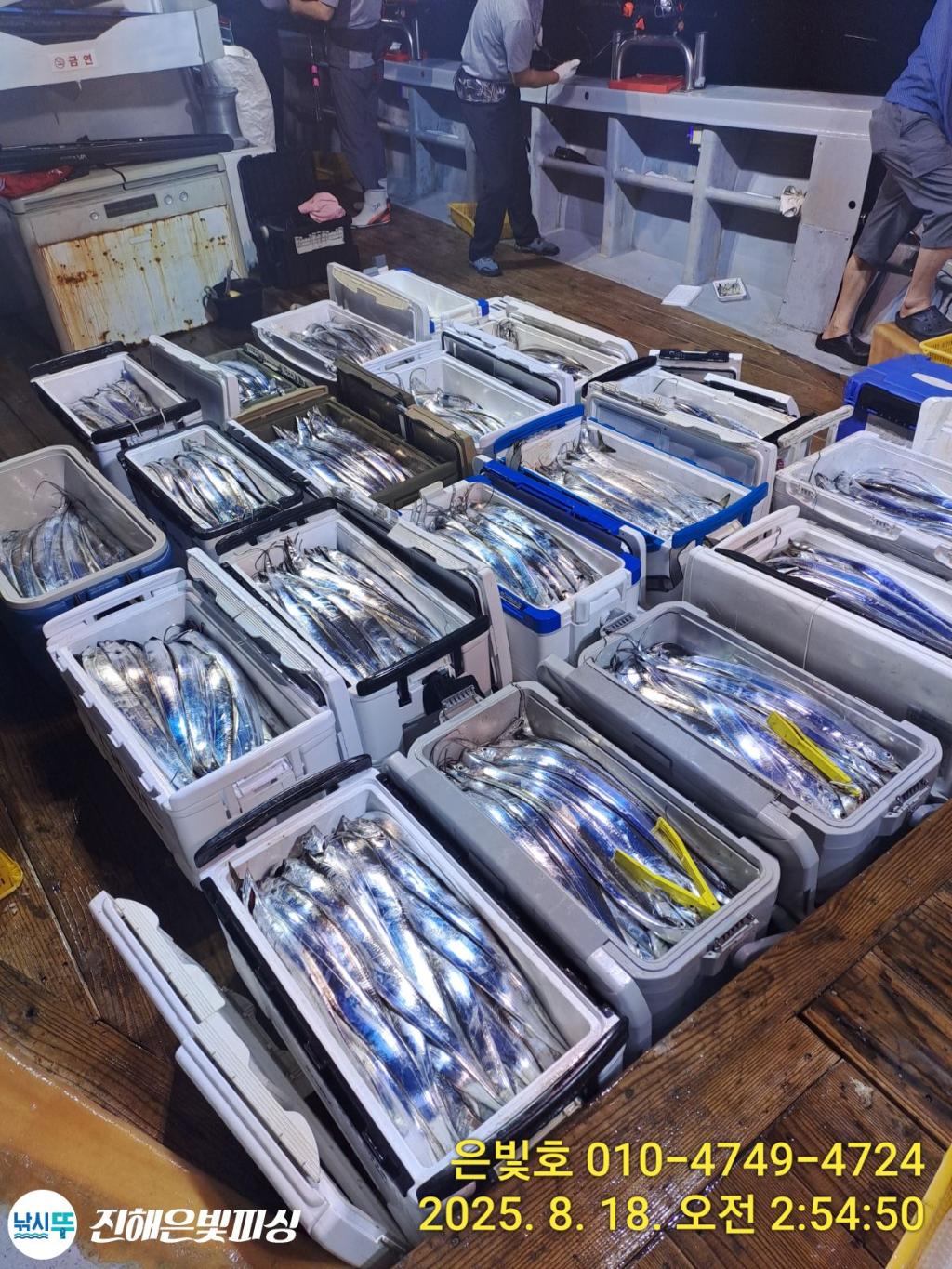 낚시뚜,갈치,진해수도항,진해은빛피싱,낚시뚜20