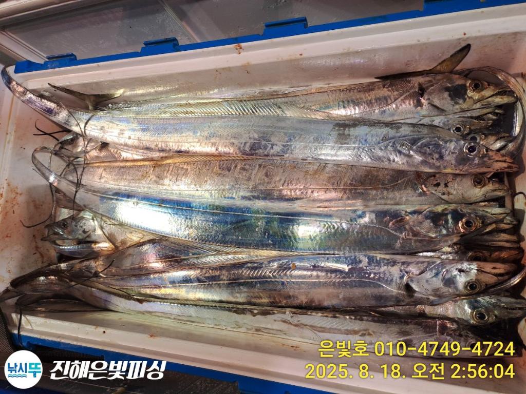 낚시뚜,갈치,진해수도항,진해은빛피싱,낚시뚜9