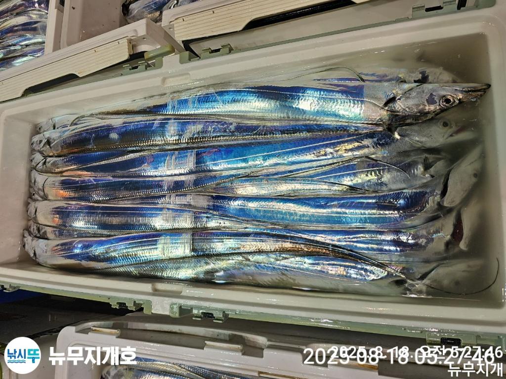 F2751810JJ.jpg