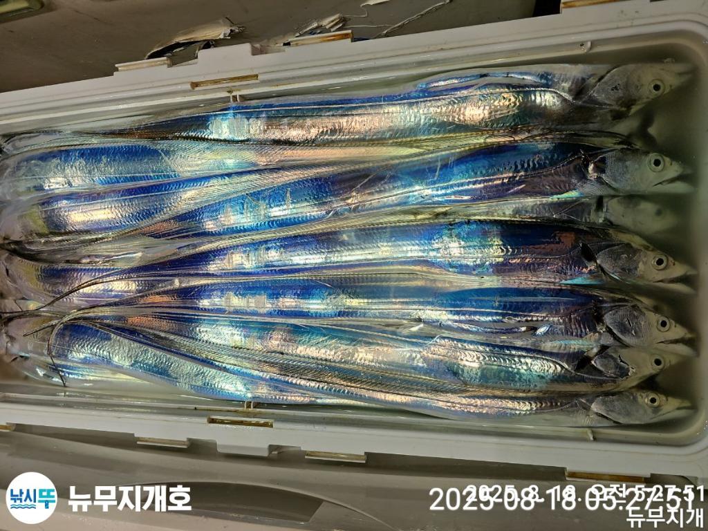 F27518122N.jpg