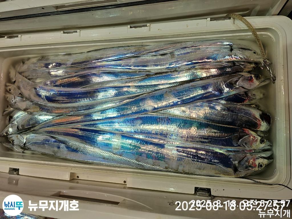F2751813ZN.jpg