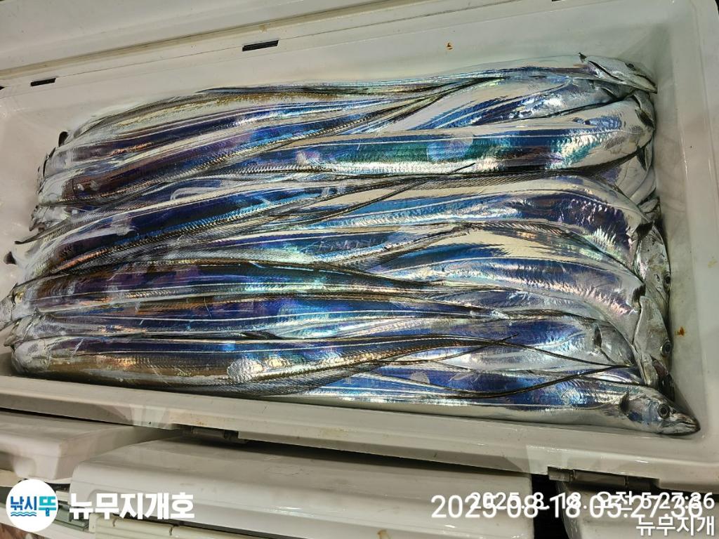 F2751814V8.jpg