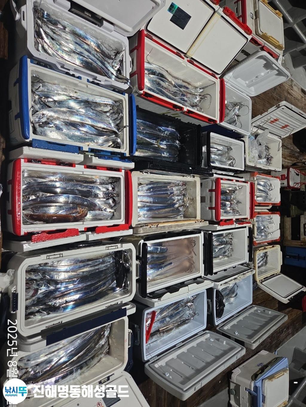 F2752162VE.jpg