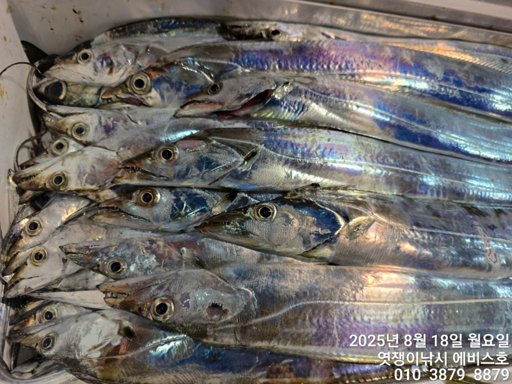 F2752256GG.jpg