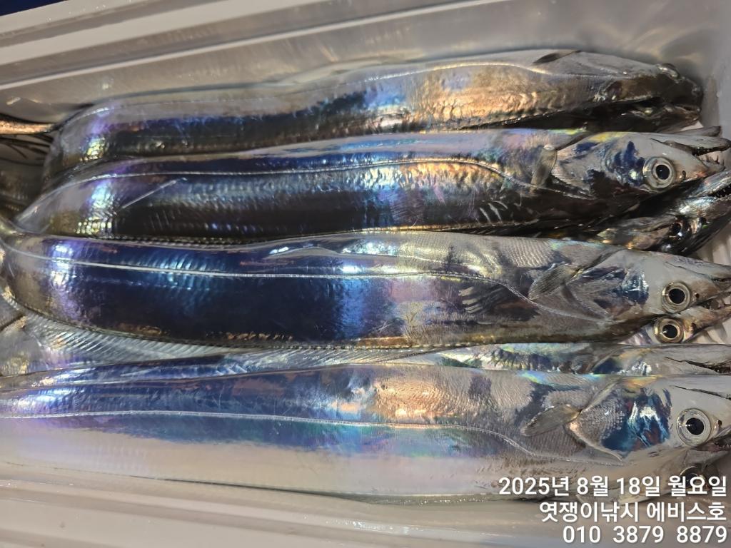 F2752259LH.jpg