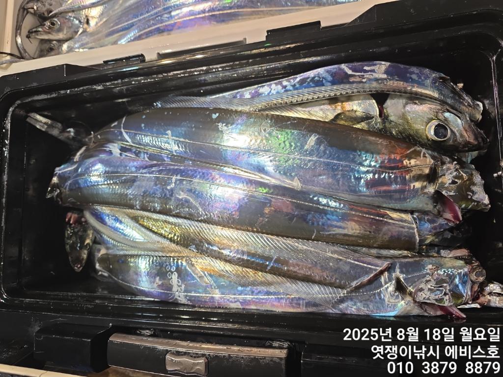 F27522626B.jpg