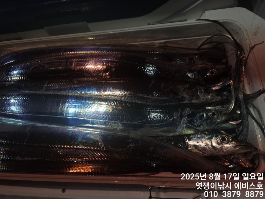 F27522858L.jpg