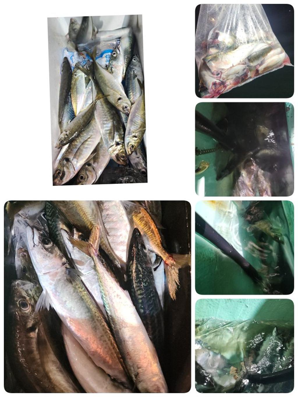 F2752380VN.jpg
