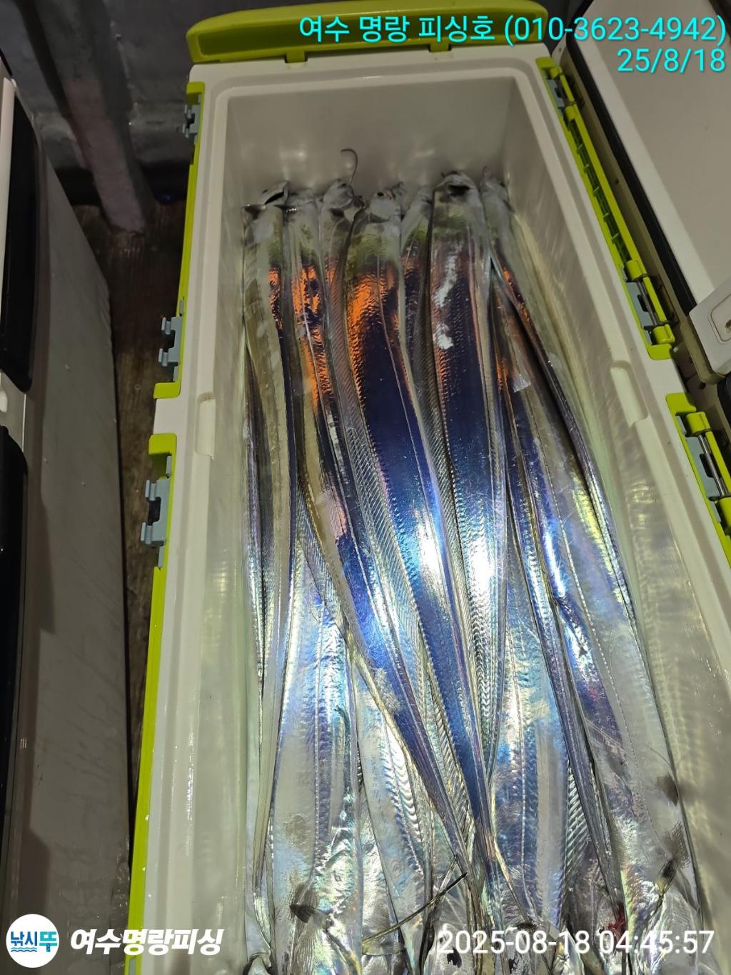 F2752394HG.jpg