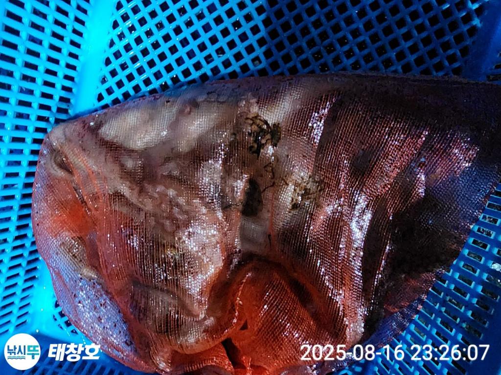F2752566UC.jpg