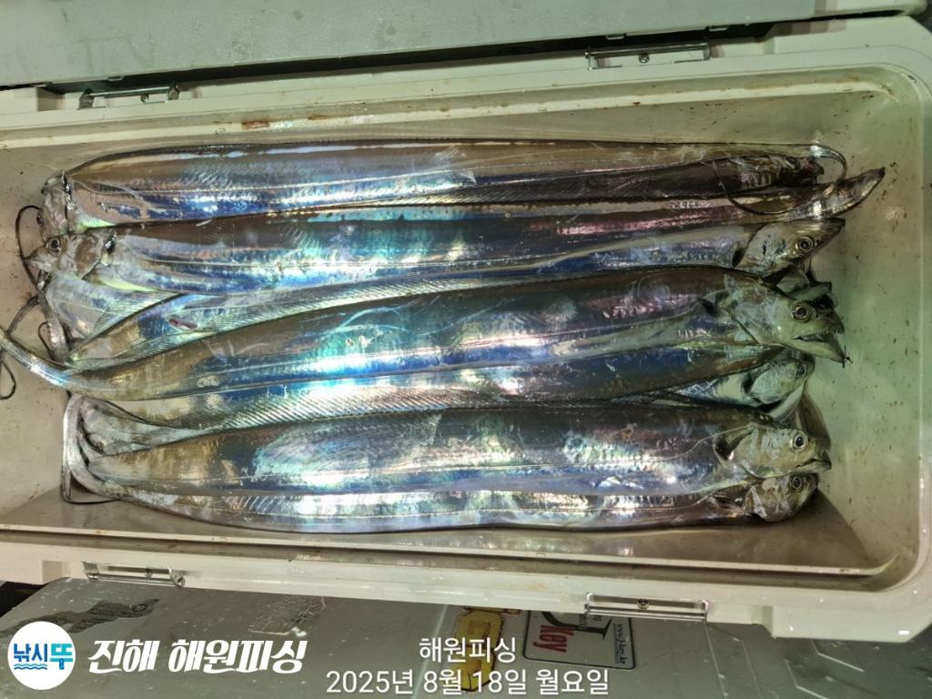F27526531H.jpg