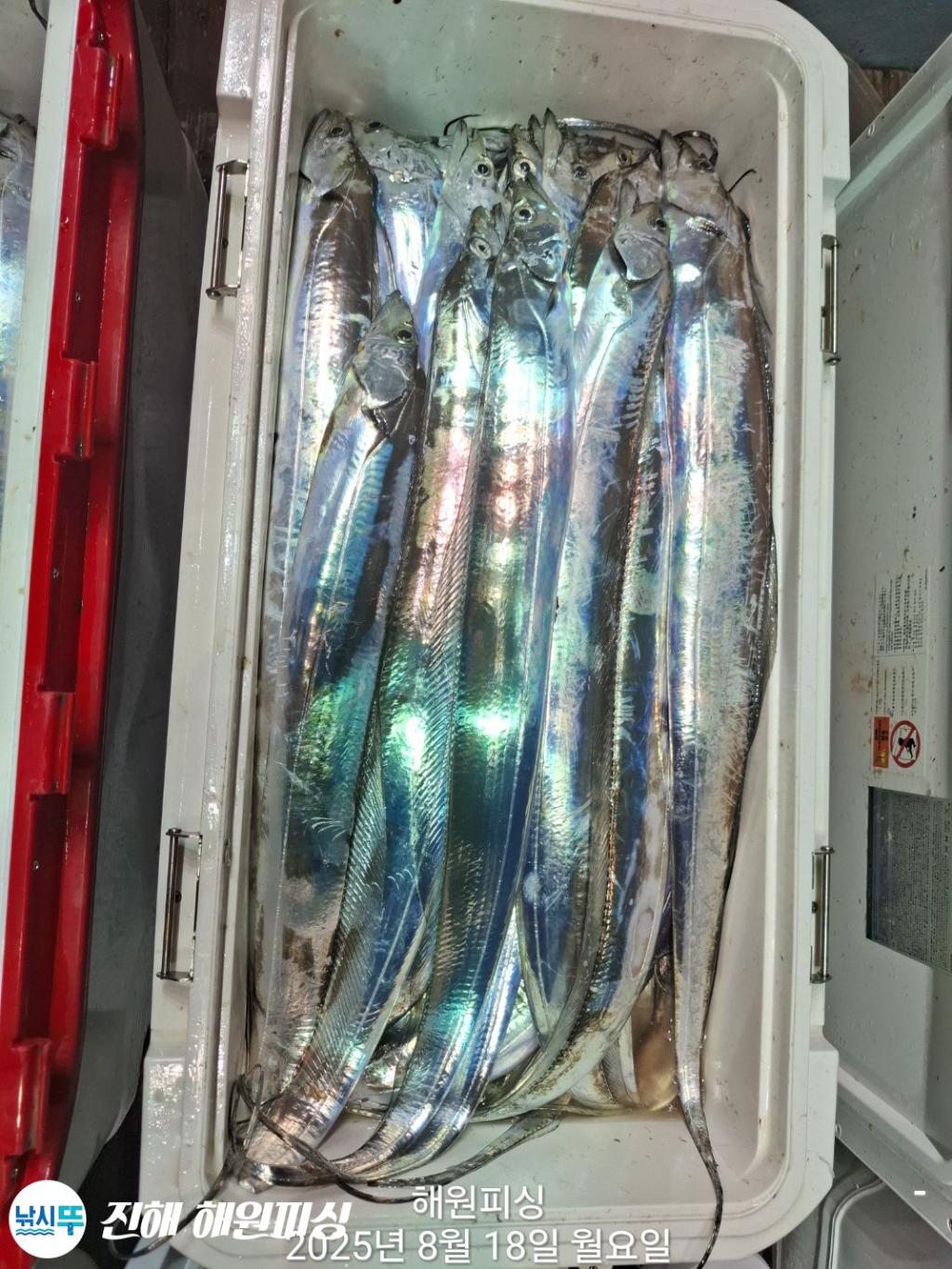 F275265760.jpg
