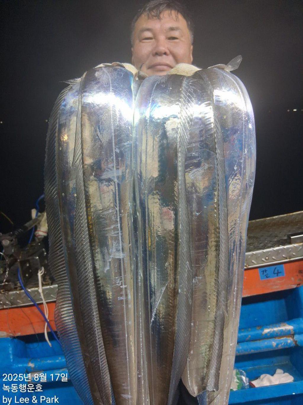 낚시뚜,갈치,녹동항,녹동대성호,낚시뚜17