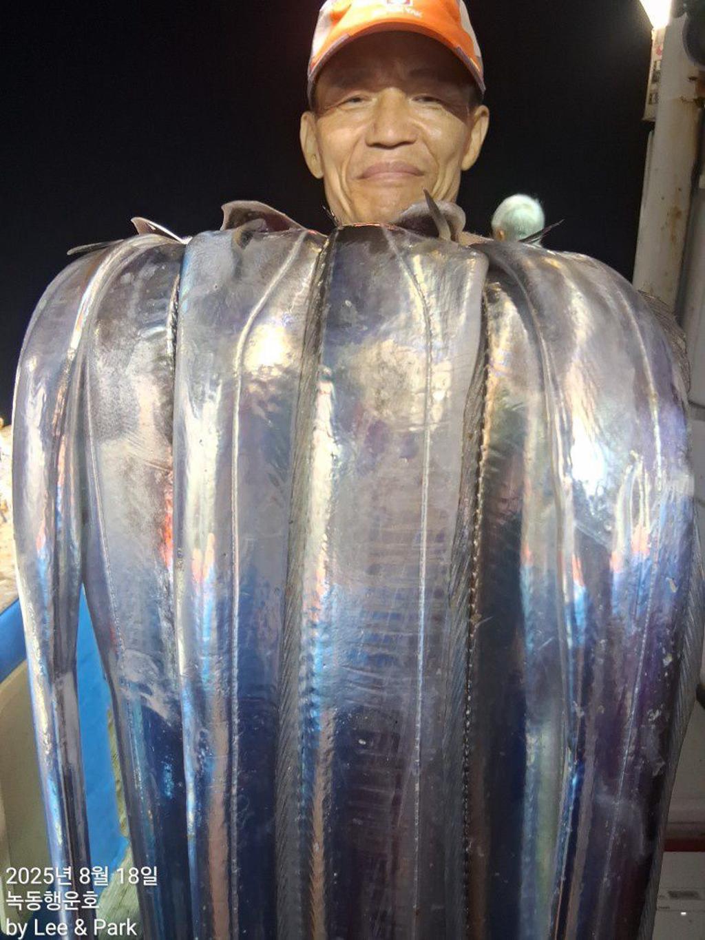 낚시뚜,갈치,녹동항,녹동대성호,낚시뚜13