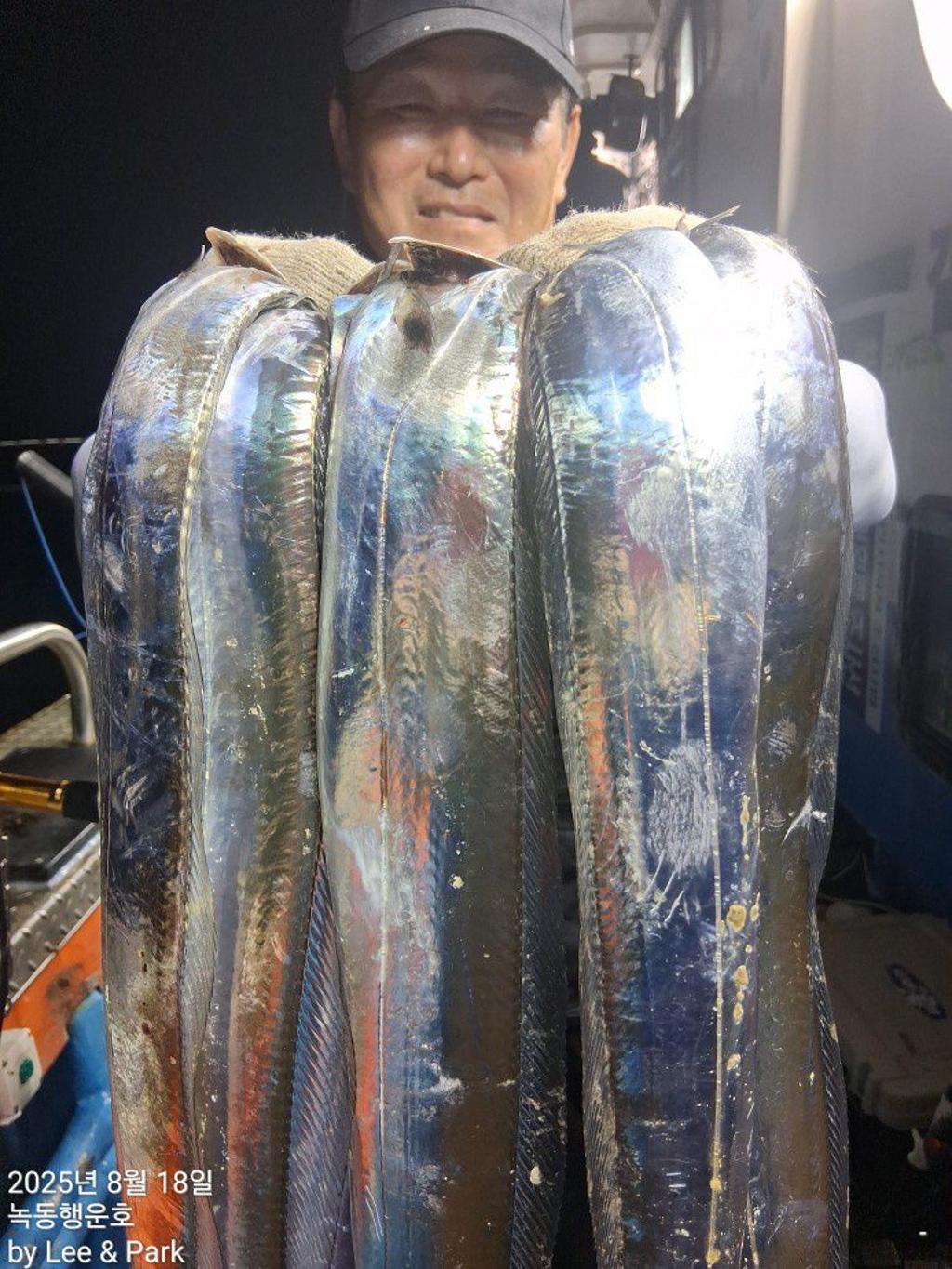 낚시뚜,갈치,녹동항,녹동대성호,낚시뚜12