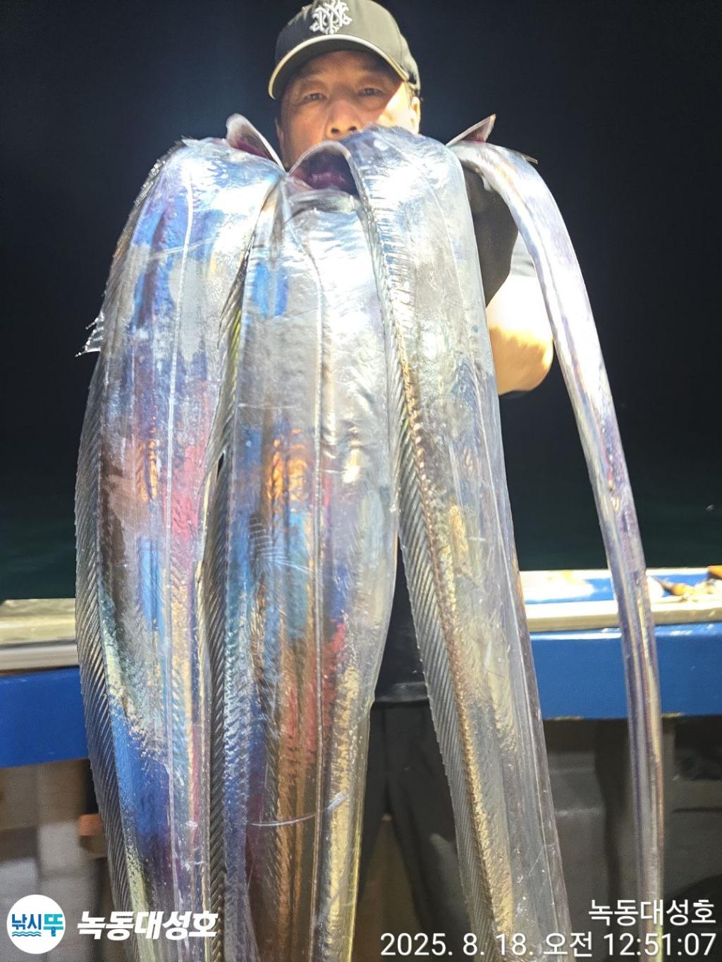 낚시뚜,갈치,녹동항,녹동대성호,낚시뚜11